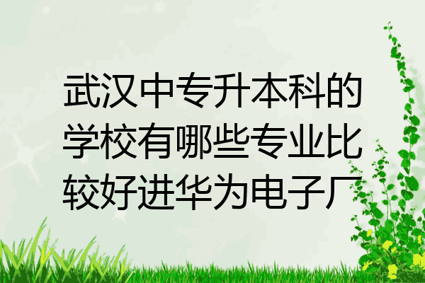 武汉中专升本科的学校有哪些专业比较好进华为电子厂