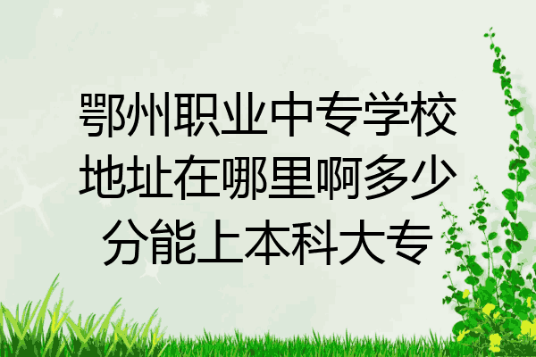 鄂州职业中专学校地址在哪里啊多少分能上本科大专