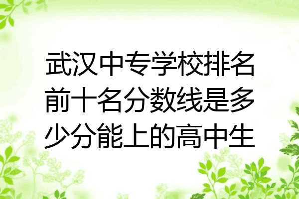 武汉中专学校排名前十名分数线是多少分能上的高中生