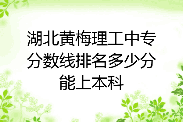 湖北黄梅理工中专分数线排名多少分能上本科