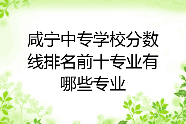 咸宁中专学校分数线排名前十专业有哪些专业