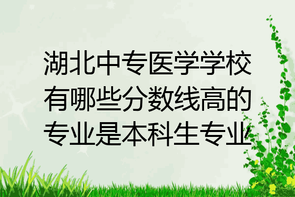 湖北中专医学学校有哪些分数线高的专业是本科生专业