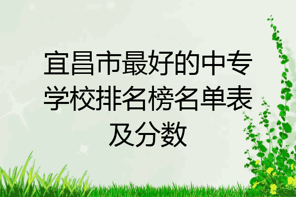 宜昌市最好的中专学校排名榜名单表及分数