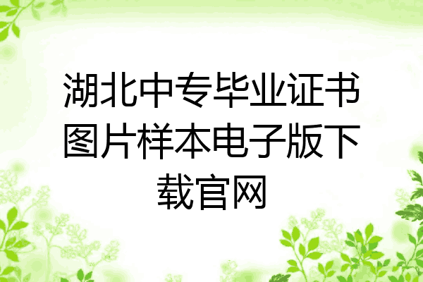 湖北中专毕业证书图片样本电子版下载官网