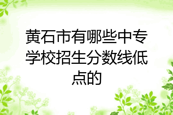 黄石市有哪些中专学校招生分数线低点的