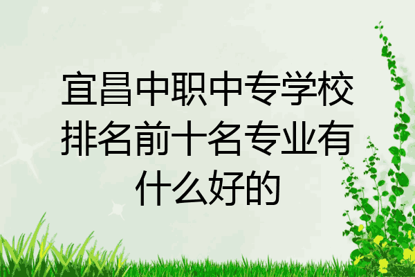 宜昌中职中专学校排名前十名专业有什么好的