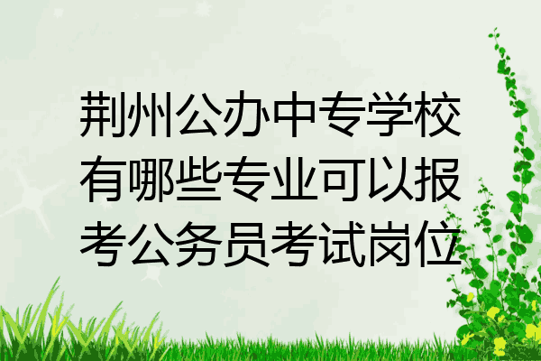 荆州公办中专学校有哪些专业可以报考公务员考试岗位