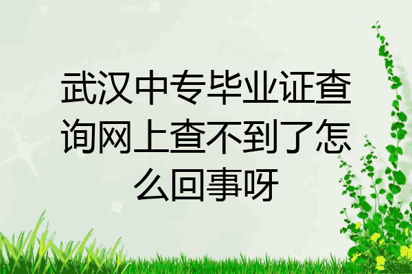 武汉中专毕业证查询网上查不到了怎么回事呀