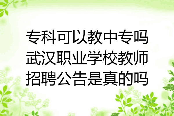专科可以教中专吗武汉职业学校教师招聘公告是真的吗
