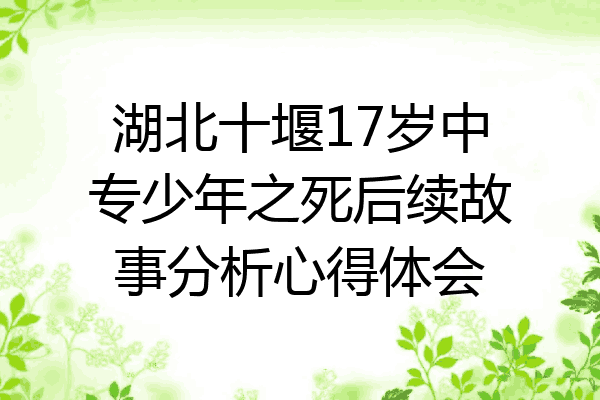 湖北十堰17岁中专少年之死后续故事分析心得体会
