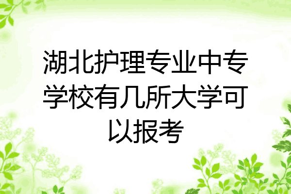 湖北护理专业中专学校有几所大学可以报考