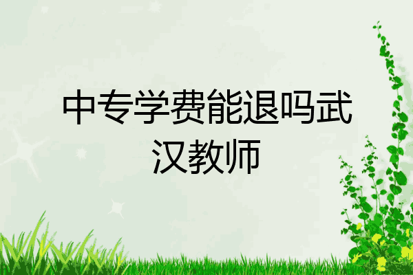 中专学费能退吗武汉教师