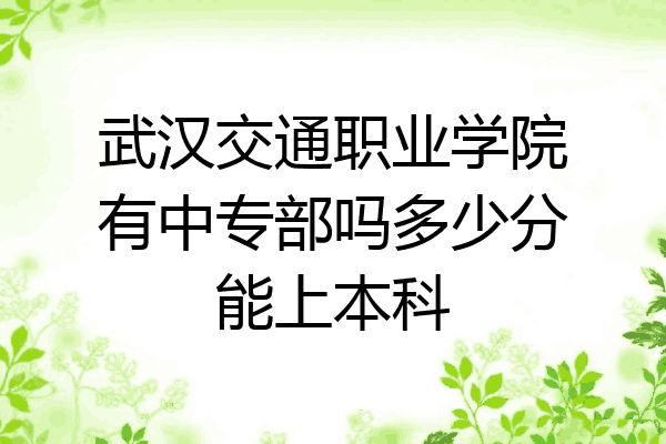 武汉交通职业学院有中专部吗多少分能上本科