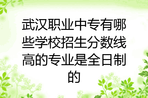 武汉职业中专有哪些学校招生分数线高的专业是全日制的