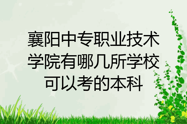 襄阳中专职业技术学院有哪几所学校可以考的本科