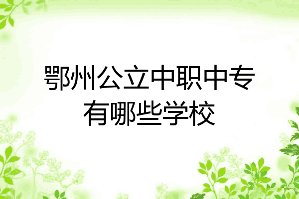 鄂州公立中职中专有哪些学校