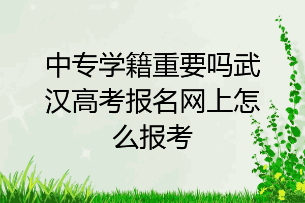 中专学籍重要吗武汉高考报名网上怎么报考