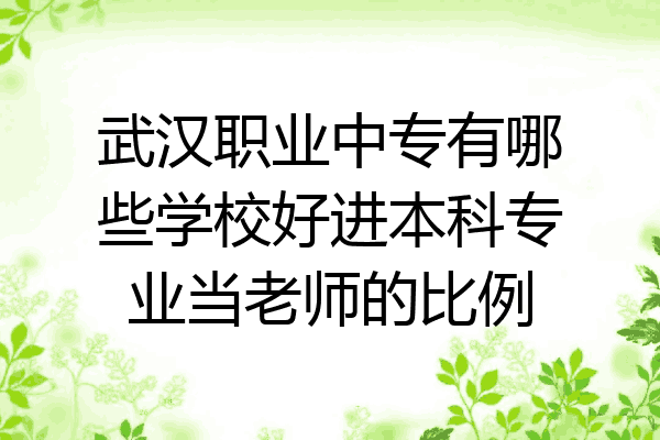 武汉职业中专有哪些学校好进本科专业当老师的比例