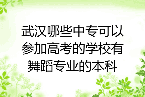 武汉哪些中专可以参加高考的学校有舞蹈专业的本科