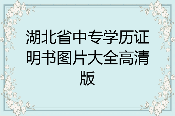湖北省中专学历证明书图片大全高清版