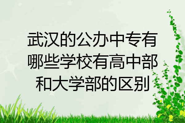 武汉的公办中专有哪些学校有高中部和大学部的区别