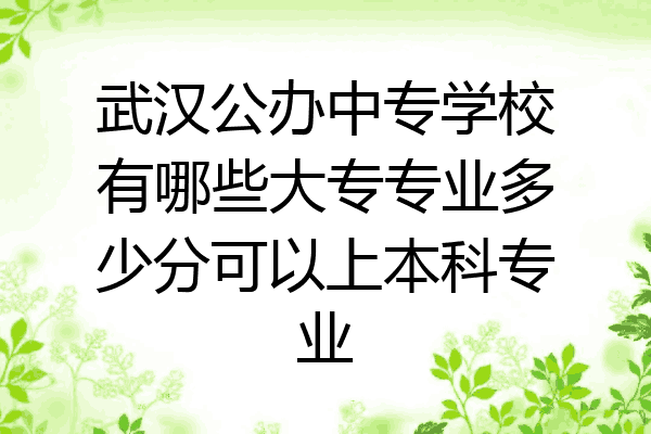 武汉公办中专学校有哪些大专专业多少分可以上本科专业
