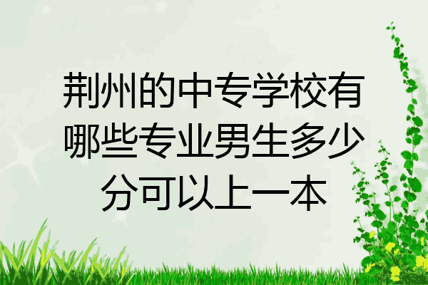 荆州的中专学校有哪些专业男生多少分可以上一本