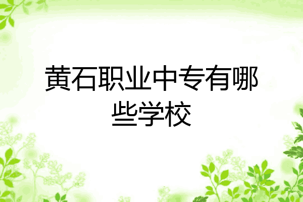 黄石职业中专有哪些学校