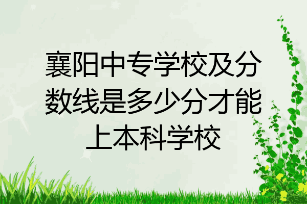 襄阳中专学校及分数线是多少分才能上本科学校