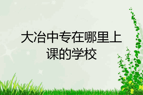 大冶中专在哪里上课的学校