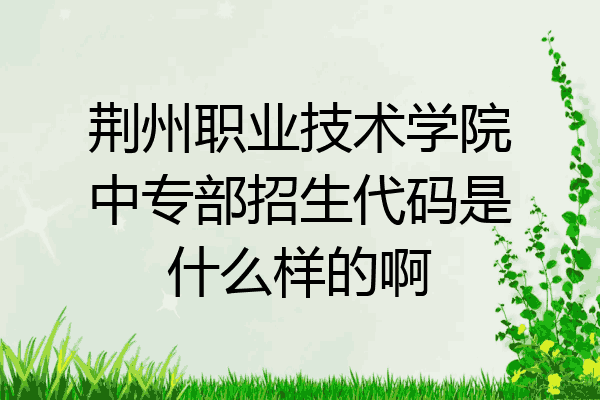 荆州职业技术学院中专部招生代码是什么样的啊