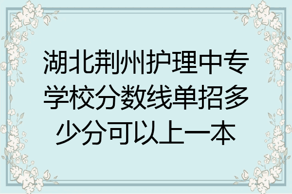 湖北荆州护理中专学校分数线单招多少分可以上一本