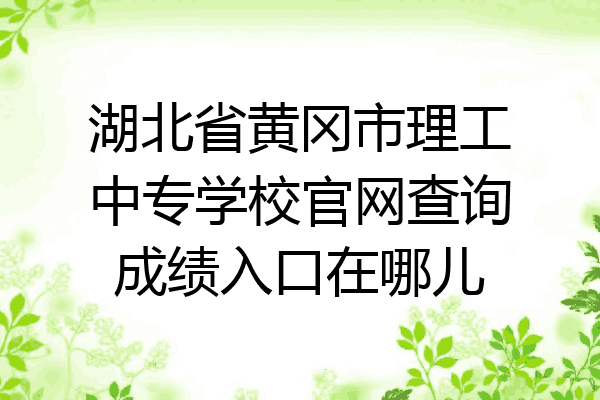 湖北省黄冈市理工中专学校官网查询成绩入口在哪儿