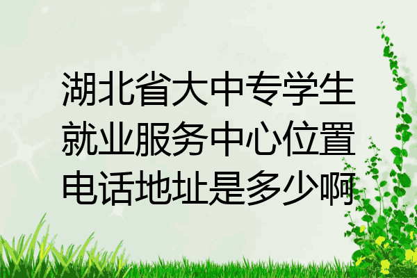 湖北省大中专学生就业服务中心位置电话地址是多少啊