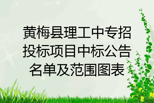 黄梅县理工中专招投标项目中标公告名单及范围图表