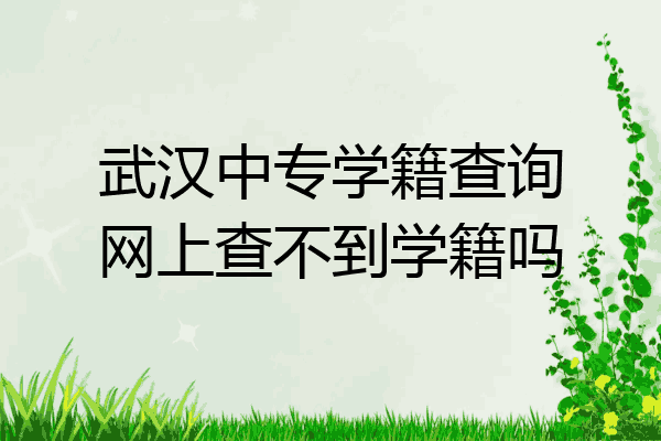 武汉中专学籍查询网上查不到学籍吗