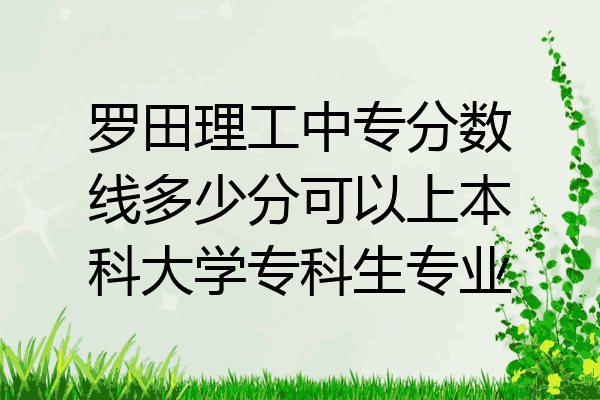 罗田理工中专分数线多少分可以上本科大学专科生专业