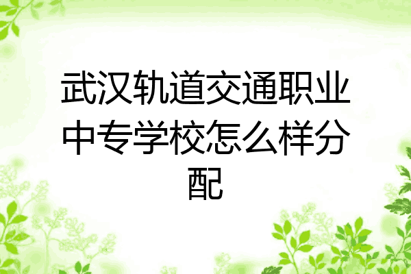 武汉轨道交通职业中专学校怎么样分配