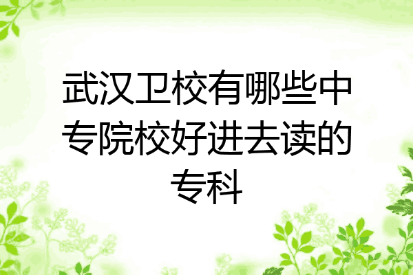 武汉卫校有哪些中专院校好进去读的专科