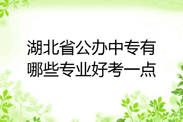 湖北省公办中专有哪些专业好考一点