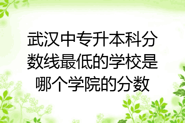 武汉中专升本科分数线最低的学校是哪个学院的分数