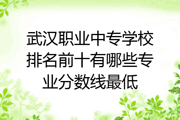 武汉职业中专学校排名前十有哪些专业分数线最低