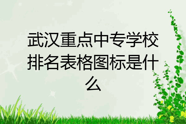 武汉重点中专学校排名表格图标是什么