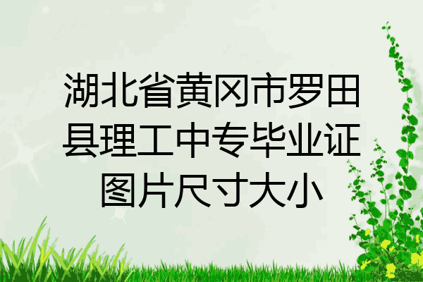 湖北省黄冈市罗田县理工中专毕业证图片尺寸大小