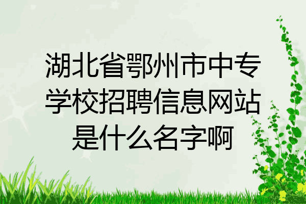 湖北省鄂州市中专学校招聘信息网站是什么名字啊