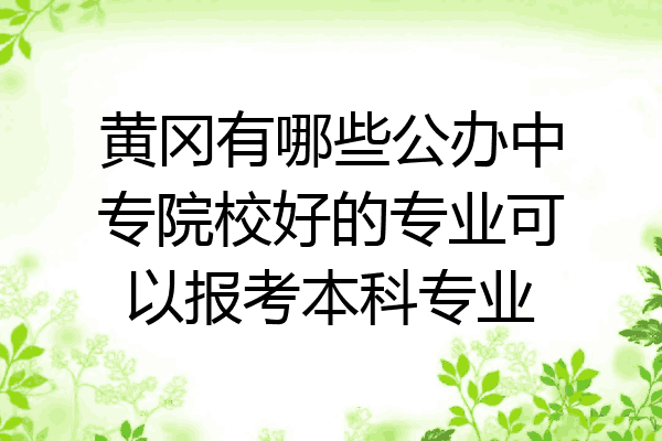 黄冈有哪些公办中专院校好的专业可以报考本科专业