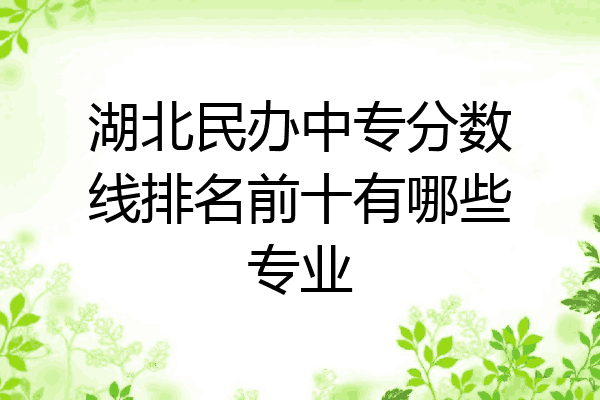湖北民办中专分数线排名前十有哪些专业