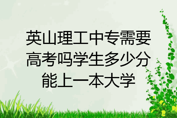 英山理工中专需要高考吗学生多少分能上一本大学