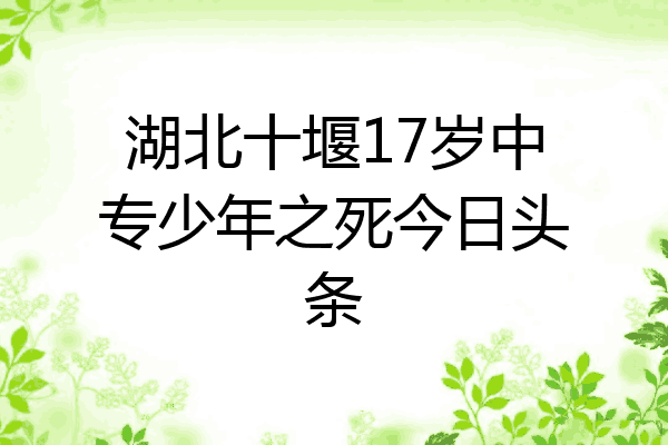 湖北十堰17岁中专少年之死今日头条