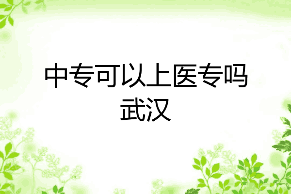 中专可以上医专吗武汉